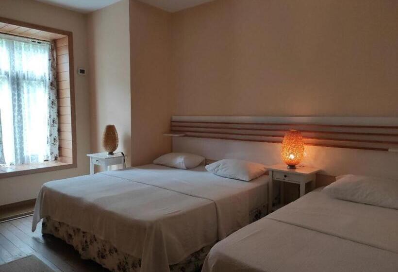 חדר סטנדרטי לשלושה עם נוף, Camlihemsin Tasmektep