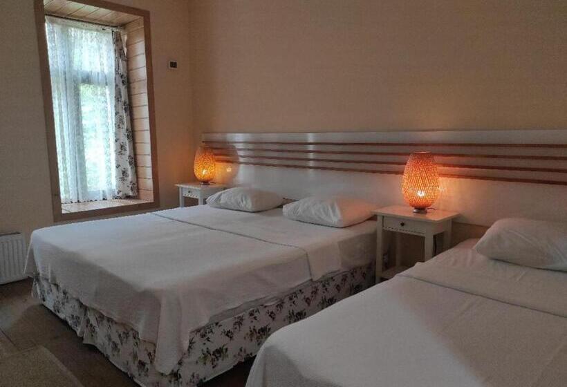 חדר סטנדרטי לשלושה עם נוף, Camlihemsin Tasmektep