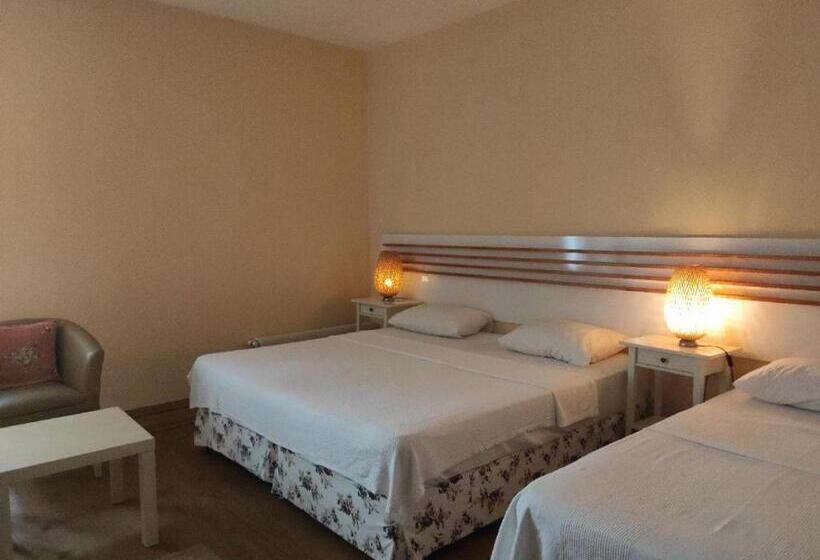 חדר סטנדרט לשלושה, Camlihemsin Tasmektep