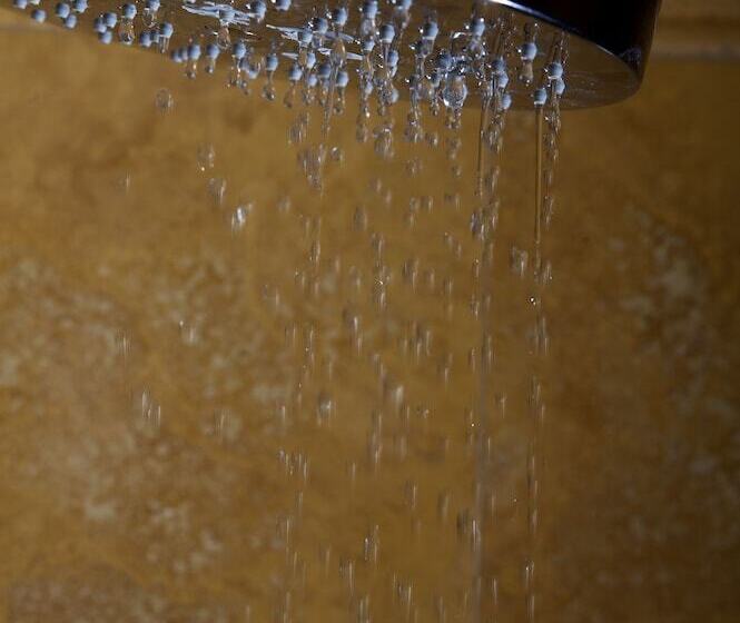 Junior Suite, Al Codega