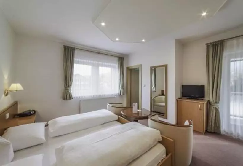スタンダードルーム, Boutique Hotel Am Park