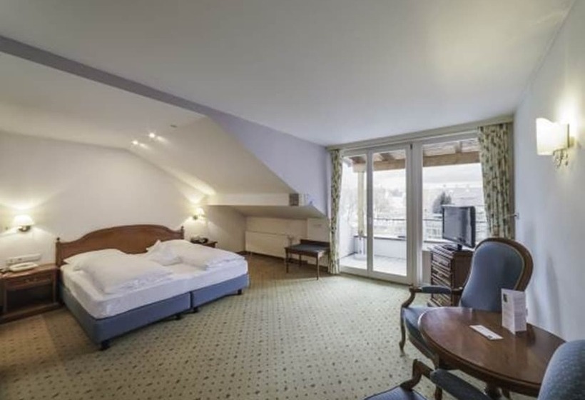 小型套房, Boutique Hotel Am Park