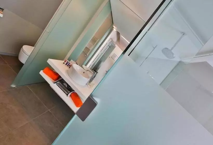 اتاق استاندارد با تخت بزرگ, Best Western Hotel Parco Paglia