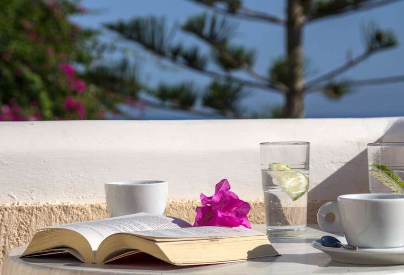 Номер Стандарт, Paradise Resort