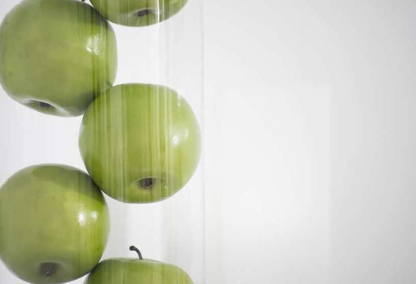 Family Suite, Paradise Resort