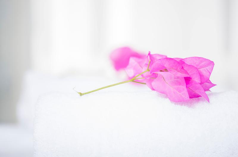 Номер Стандарт, Paradise Resort