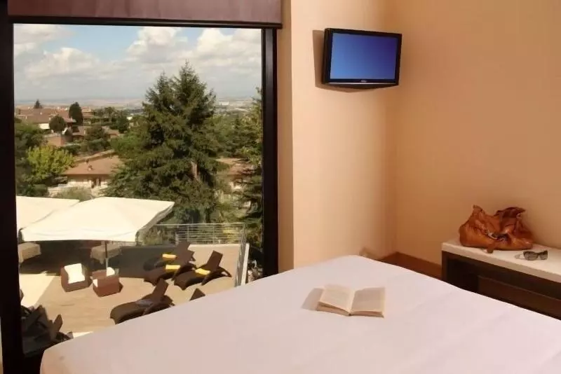 اتاق سوپریور, & Spa Villa Mercede