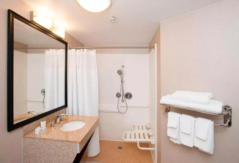 キングサイドベッドのスタンダードワンルーム, Springhill Suites Birmingham Colonnade