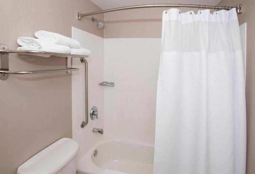 Студио Стандарт Кровать Кинг, Springhill Suites Birmingham Colonnade
