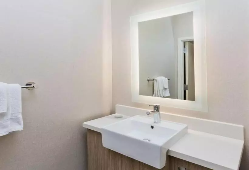 キングサイドベッドのスタンダードワンルーム, Springhill Suites Birmingham Colonnade