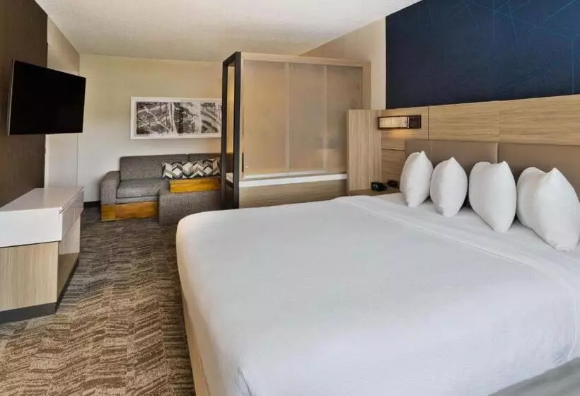 キングサイドベッドのスタンダードワンルーム, Springhill Suites Birmingham Colonnade