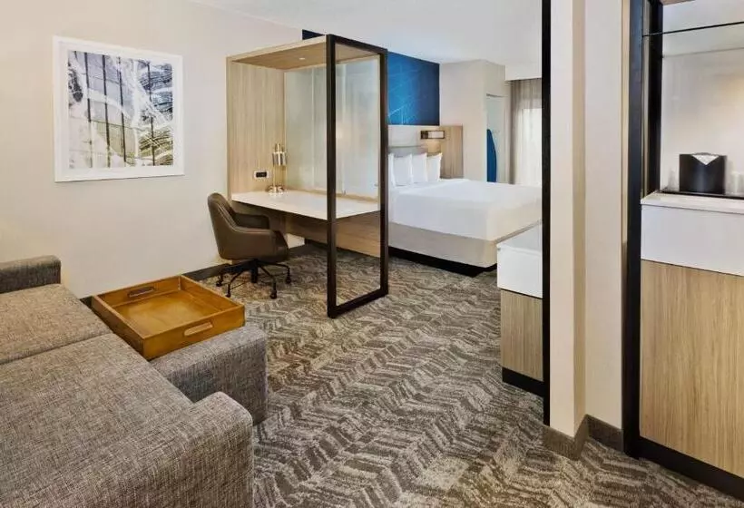 キングサイドベッドのスタンダードワンルーム, Springhill Suites Birmingham Colonnade