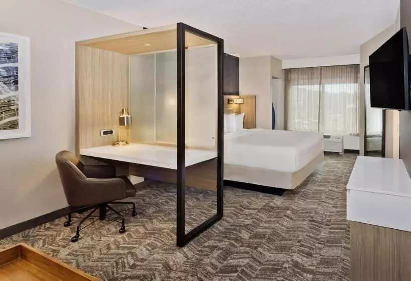 キングサイドベッドのスタンダードワンルーム, Springhill Suites Birmingham Colonnade