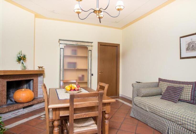 غرفة قياسية رباعية, Terra Umbra