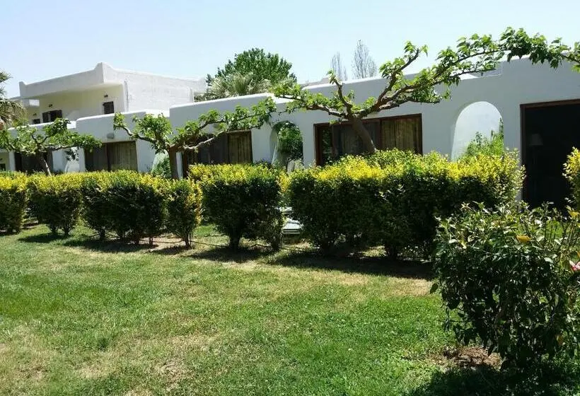 Suite, Valley Village