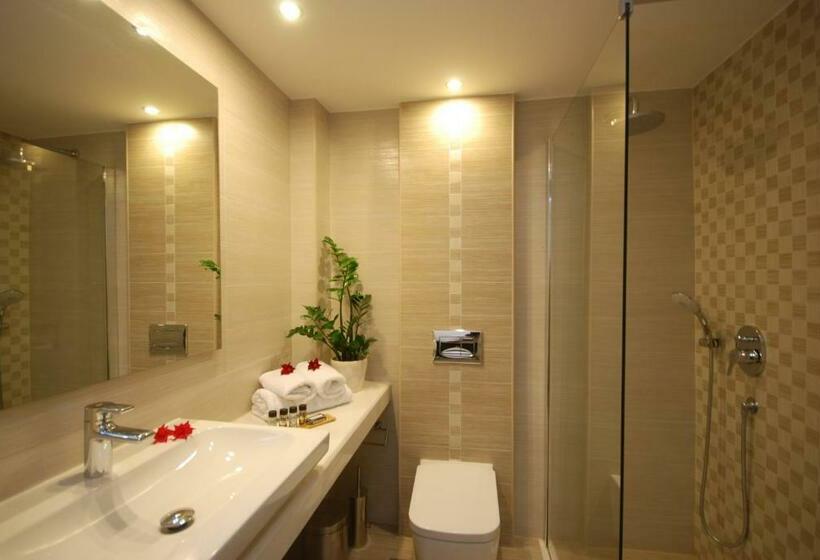 غرفة قياسية, Albatros