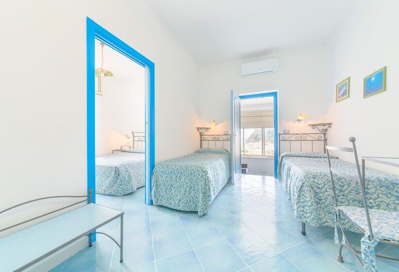 4인용 스탠다드 룸, Celeste