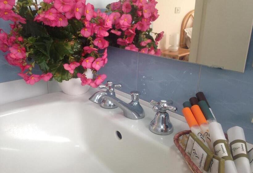 غرفة قياسية فردية, Mida