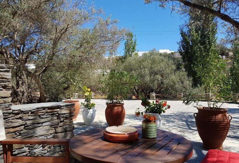 غرفة سوبيريور, Andromeda