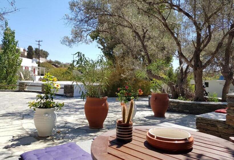 غرفة سوبيريور, Andromeda