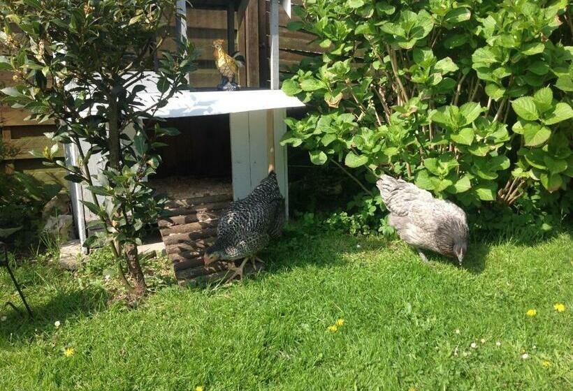 Номер Стандарт Вид на Сад, Le Jardin Des Poules