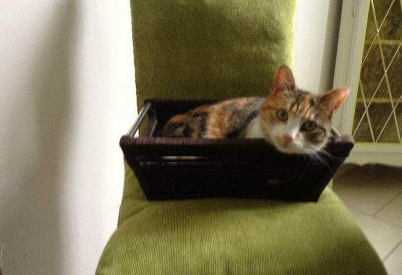 ガーデンビュースタンダードルーム, Le Jardin Des Poules