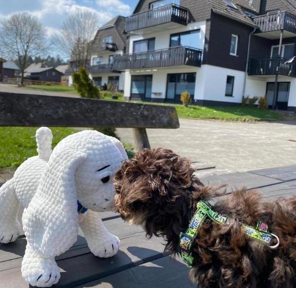 דירת משפחה, Ferienpark Winterberg