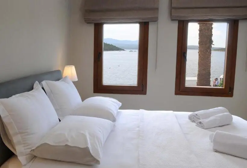 اتاق لوکس خانوادگی, Teos Lodge