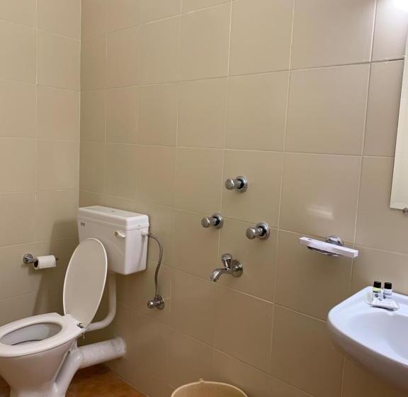 Номер Стандарт Индивидуальный, Saluja