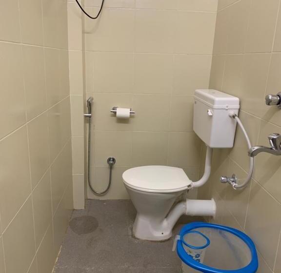 Номер Стандарт, Saluja