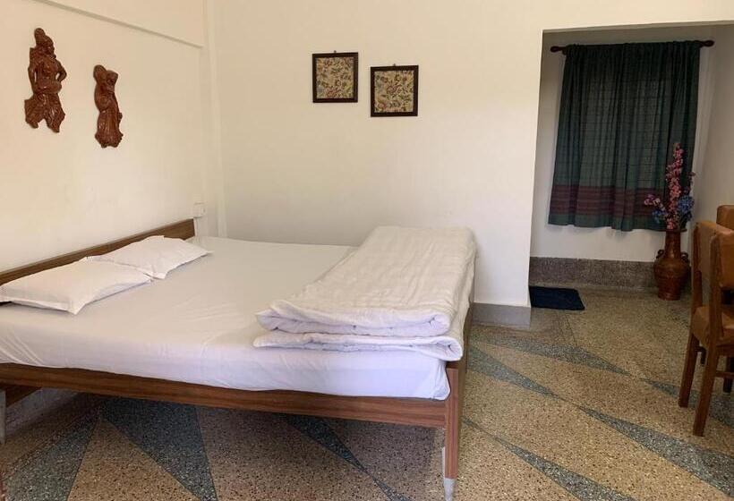 Номер Стандарт, Saluja