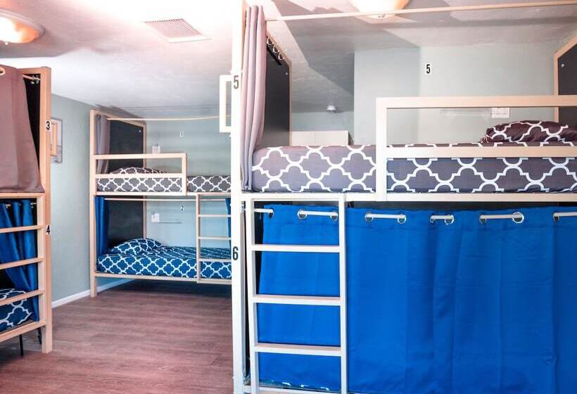 ルームシェアのワンベッド, California Dreams Hostel Ocean Beach