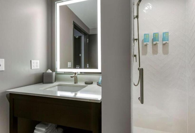 스탠다드 룸 킹사이즈 침대, Vīb Hotel By Best Western Phoenix   Tempe