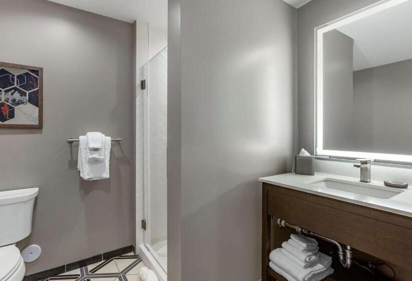 스탠다드 룸 킹사이즈 침대, Vīb Hotel By Best Western Phoenix   Tempe