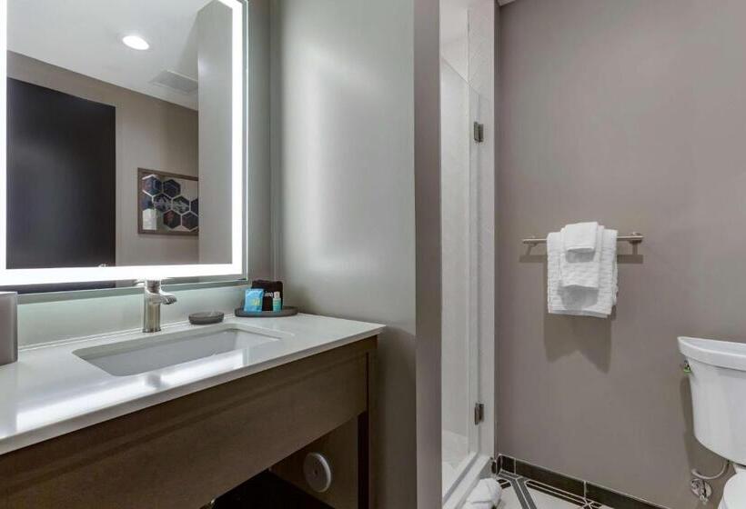 스탠다드 룸 킹사이즈 침대, Vīb Hotel By Best Western Phoenix   Tempe