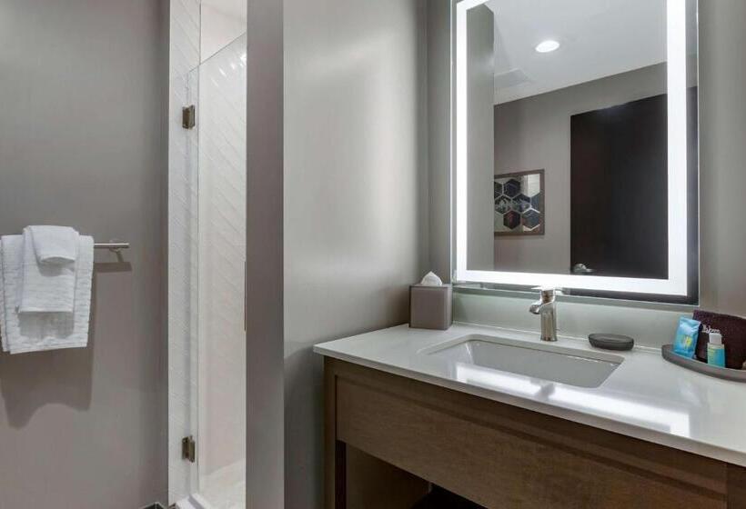 스탠다드 룸, Vīb Hotel By Best Western Phoenix   Tempe