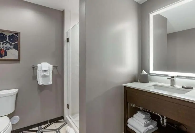 اتاق استاندارد, Vīb Hotel By Best Western Phoenix   Tempe