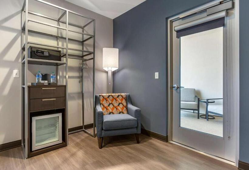 장애인을 위한 킹사이즈 침대 스탠다드 룸, Vīb Hotel By Best Western Phoenix   Tempe
