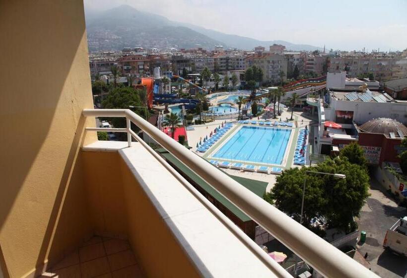 Номер Стандарт, Alin