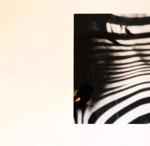 コンフォートシングルルーム, Grand Cap Rooftop Pool