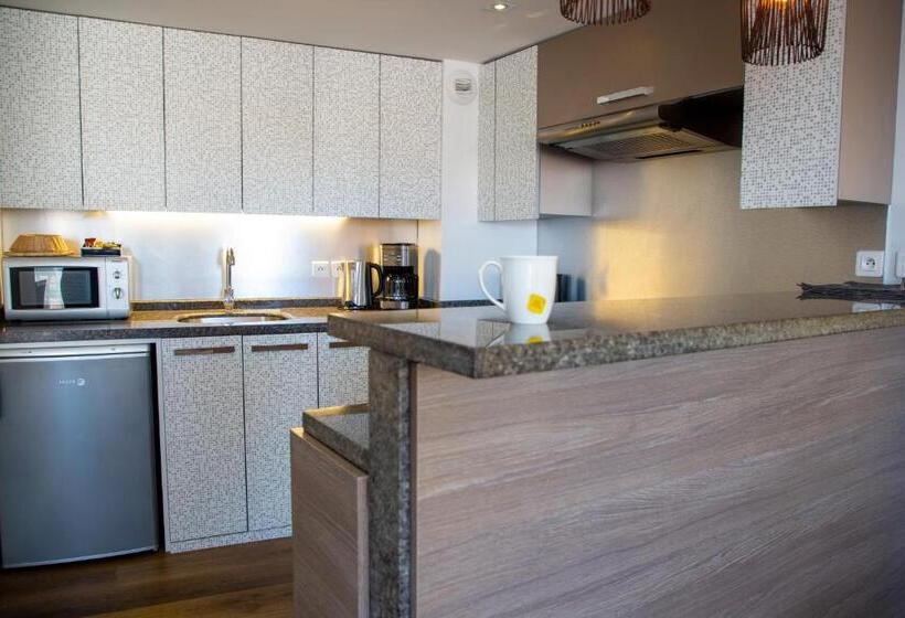 Апартаменты Дюплекс 2 Спальни, Appart Hôtel Clément Ader