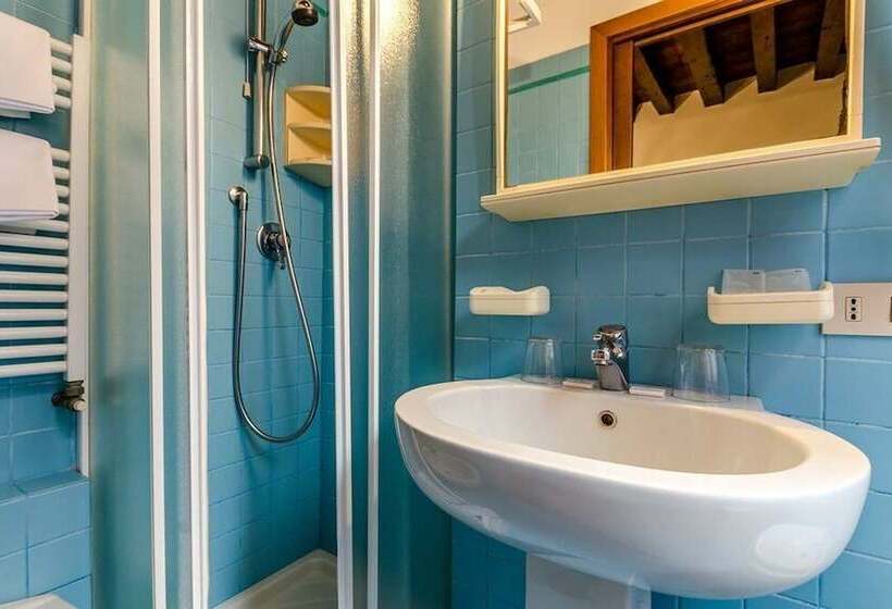 اتاق استاندارد یک نفره, Ariel Silva