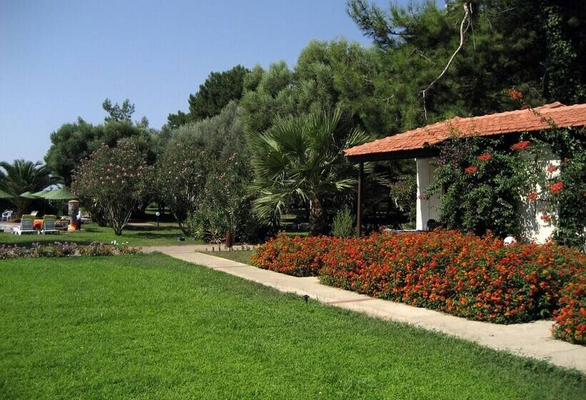 Standard Værelse, Denizati Holiday Village