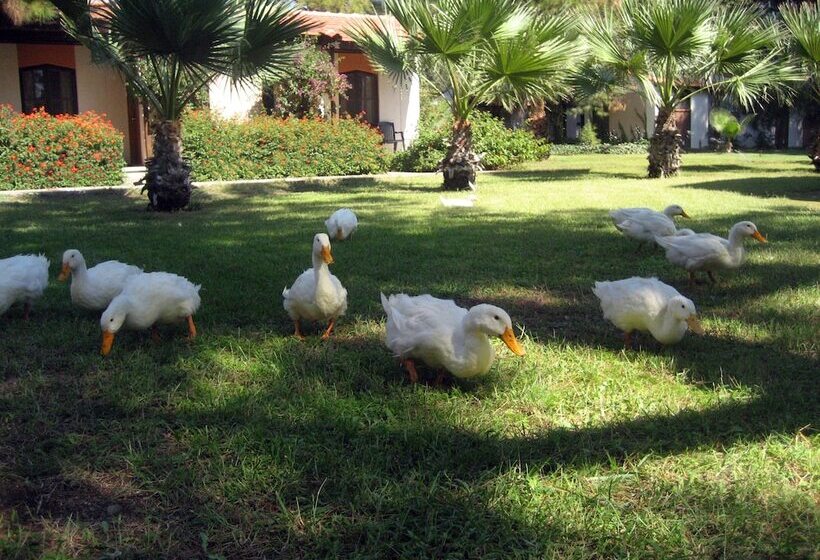 Standard Værelse, Denizati Holiday Village