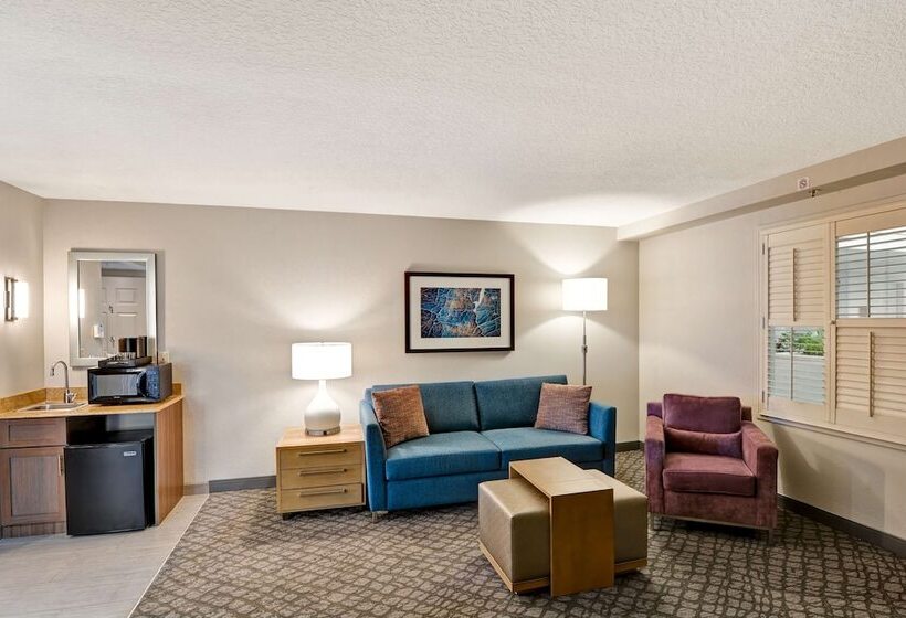 套房, Embassy Suites By Hilton Orlando Downtown