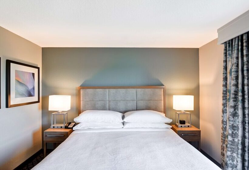 סוויטה, Embassy Suites By Hilton Orlando Downtown