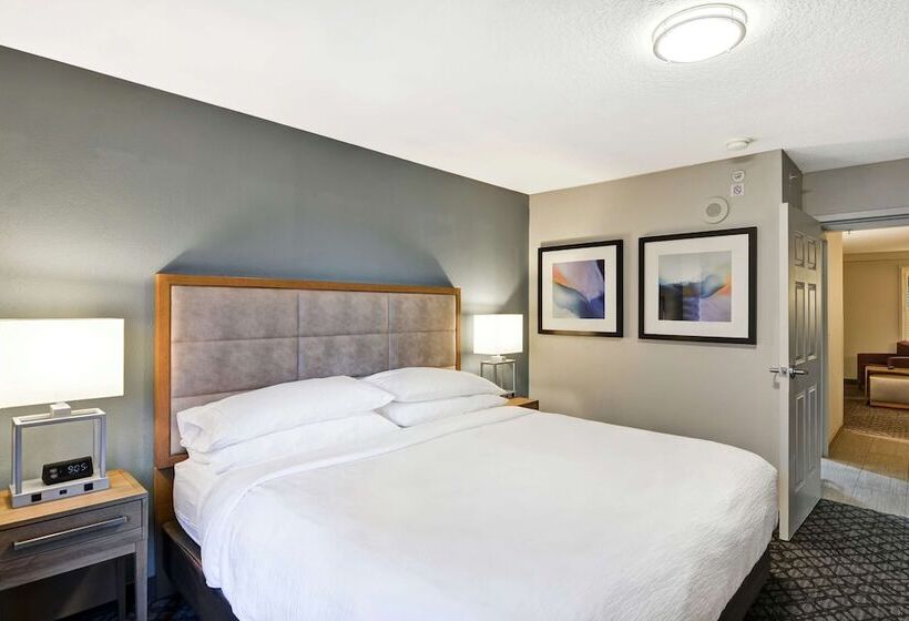 غرفة قياسية سرير مزدوج, Embassy Suites By Hilton Orlando Downtown