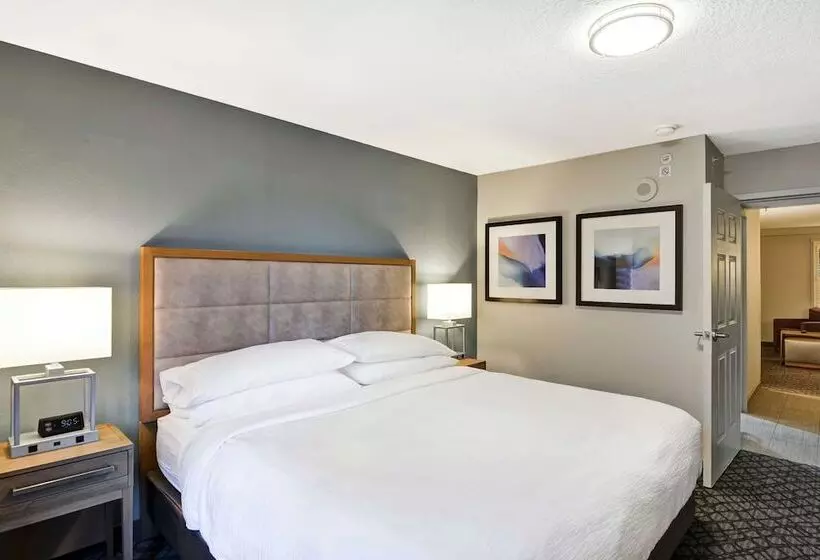 اتاق استاندارد با تخت دوبل, Embassy Suites By Hilton Orlando Downtown