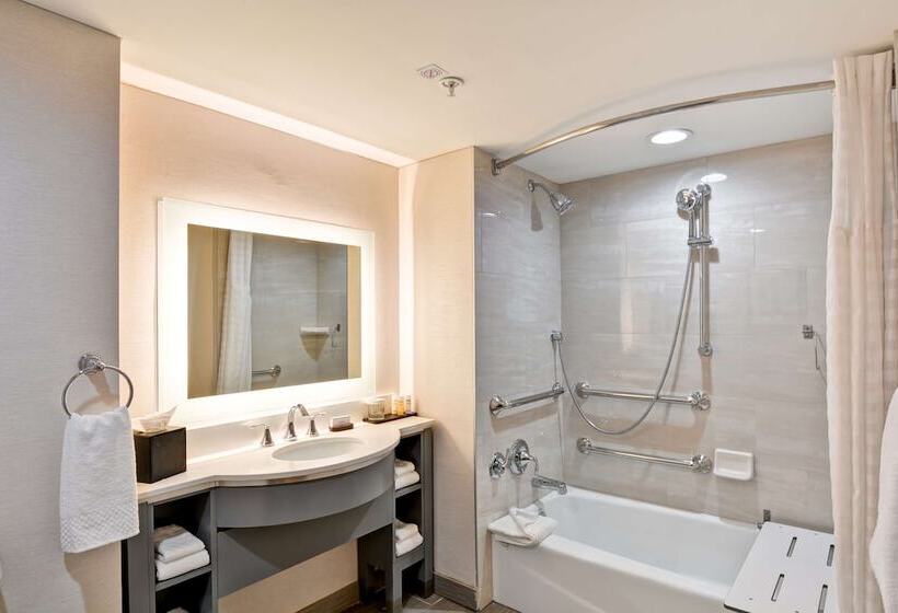 جناح لذوى الاحتياجات الخاصة, Embassy Suites By Hilton Orlando Downtown