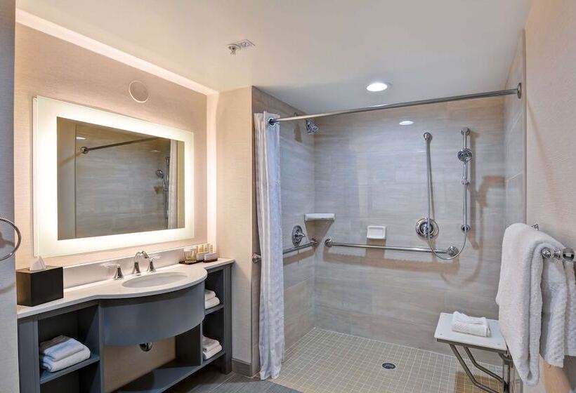 جناح لذوى الاحتياجات الخاصة, Embassy Suites By Hilton Orlando Downtown